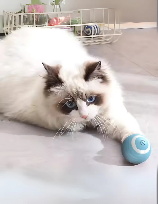ZoomieBall | Automatische Interactieve Speelbal voor Katten